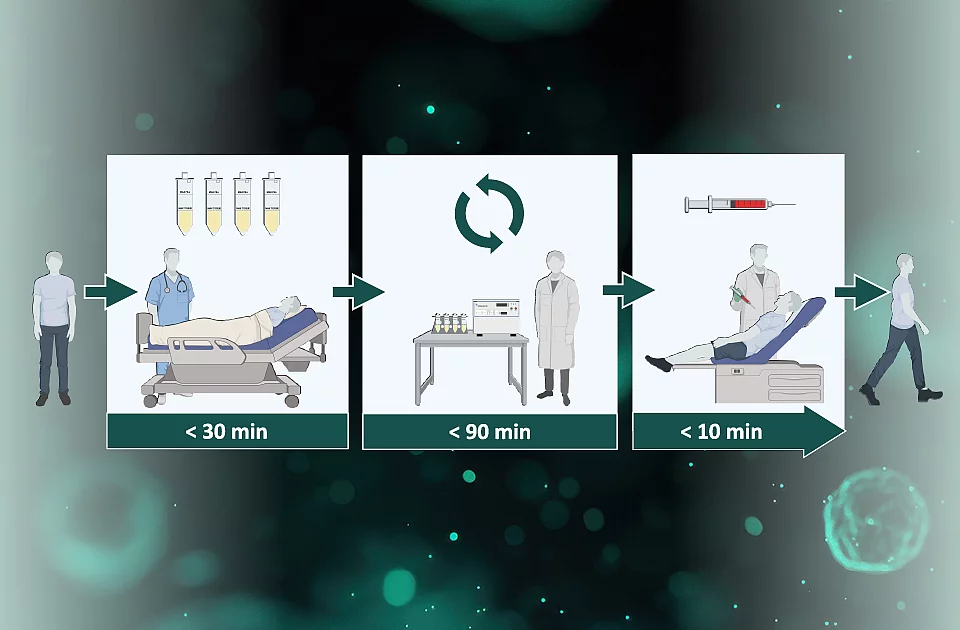 Erklärung des integratives Konzept