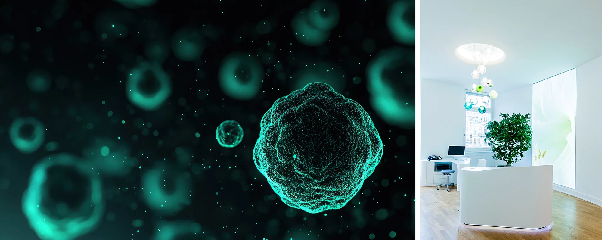 Abstrakte Mikroskopansicht von Zellstrukturen mit Leuchteffekten und dunklem Hintergrund